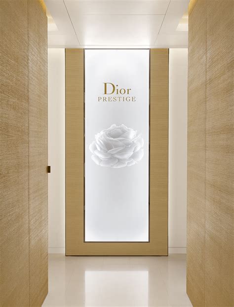 christian Dior plaza athénée